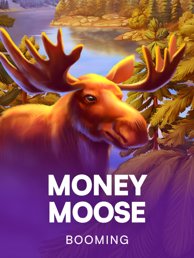 Money Moose thumbnail