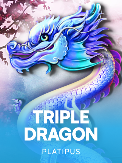 Triple Dragon thumbnail